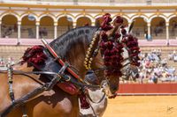Carretela de la Yeguada Sierra Mayor (13)