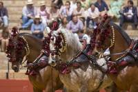 Carretela de la Yeguada Sierra Mayor (9)