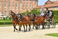 PHOTO-2023-06-19-10-03-22