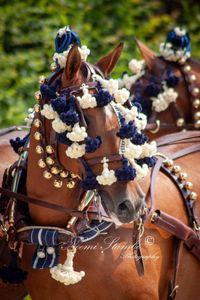 WhatsApp Image 2023-06-25 at 18.58.32